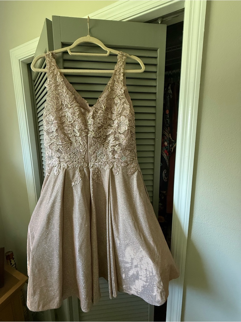 Elegant V-Neck Lace & Glitter Short Prom Dress - Blush - Picture 3 of 7